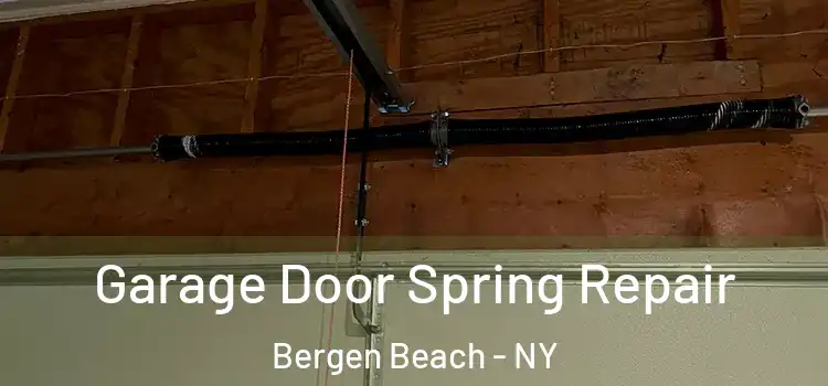  Garage Door Spring Repair Bergen Beach - NY