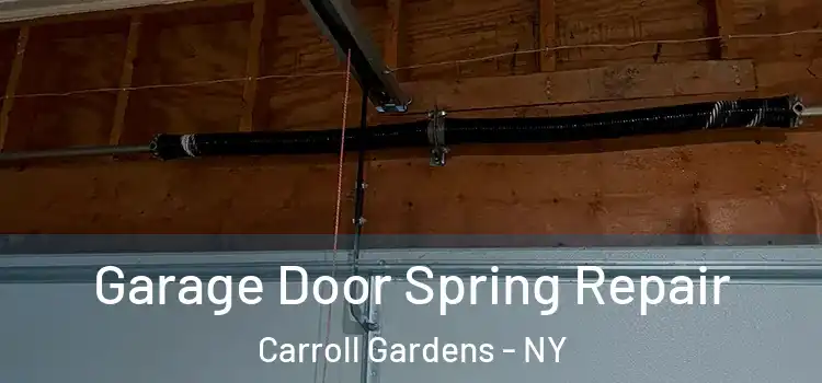  Garage Door Spring Repair Carroll Gardens - NY