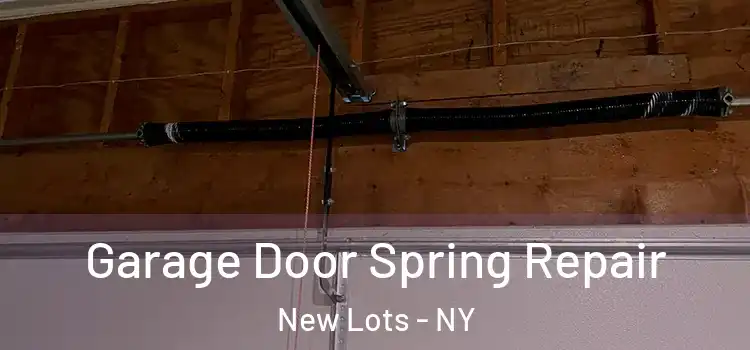  Garage Door Spring Repair New Lots - NY