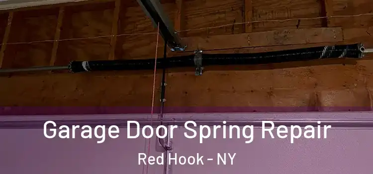  Garage Door Spring Repair Red Hook - NY