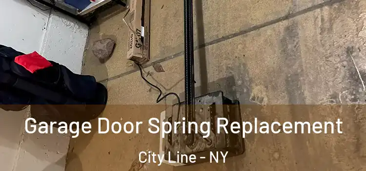  Garage Door Spring Replacement City Line - NY
