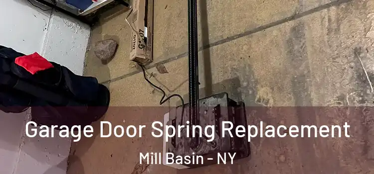  Garage Door Spring Replacement Mill Basin - NY