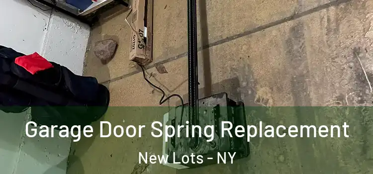  Garage Door Spring Replacement New Lots - NY