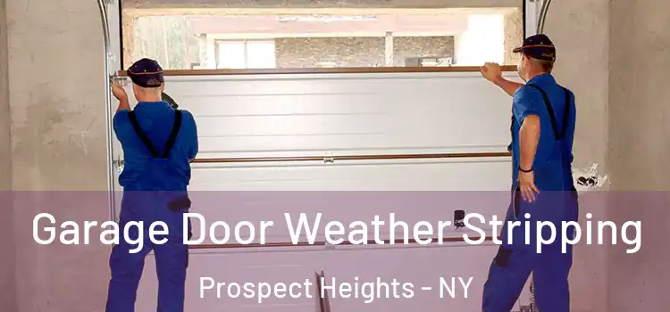  Garage Door Weather Stripping Prospect Heights - NY