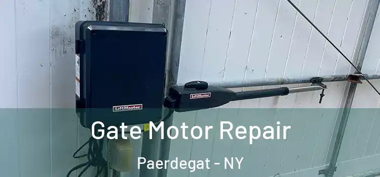  Gate Motor Repair Paerdegat - NY