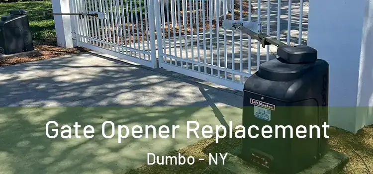  Gate Opener Replacement Dumbo - NY