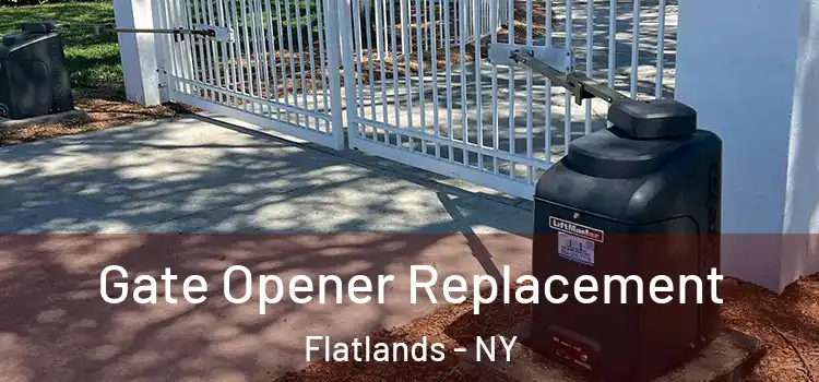  Gate Opener Replacement Flatlands - NY
