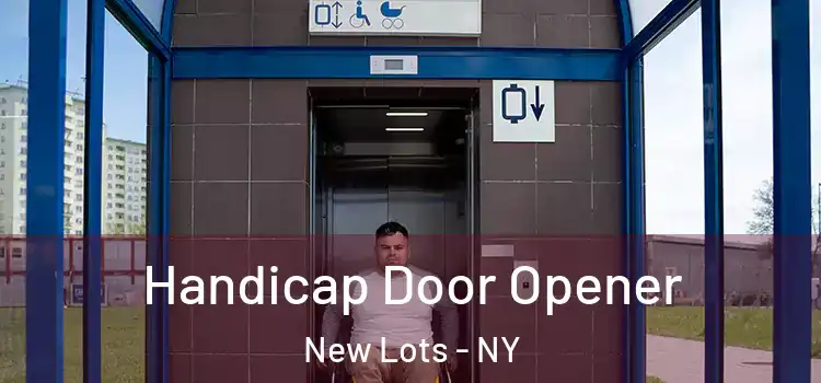 Handicap Door Opener New Lots - NY
