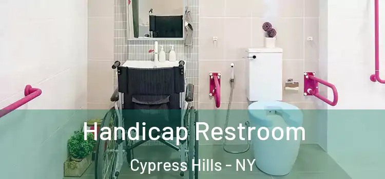 Handicap Restroom Cypress Hills - NY