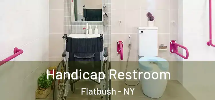 Handicap Restroom Flatbush - NY