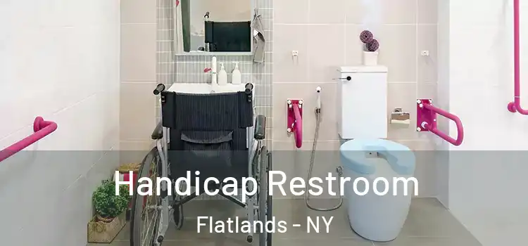  Handicap Restroom Flatlands - NY