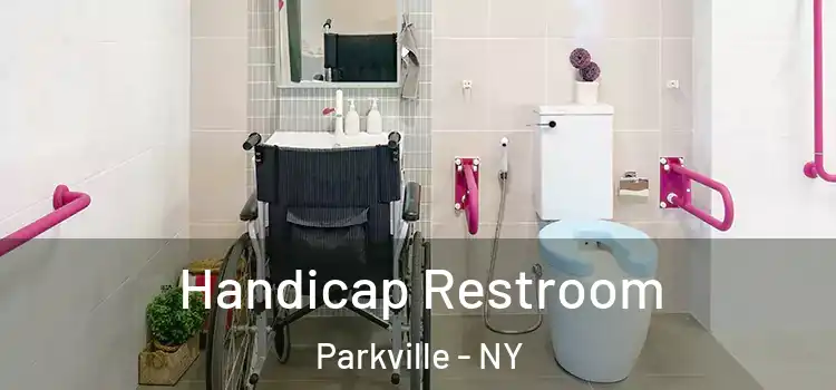 Handicap Restroom Parkville - NY