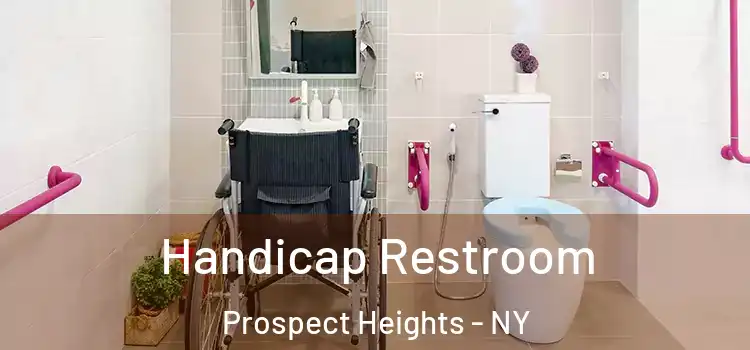 Handicap Restroom Prospect Heights - NY