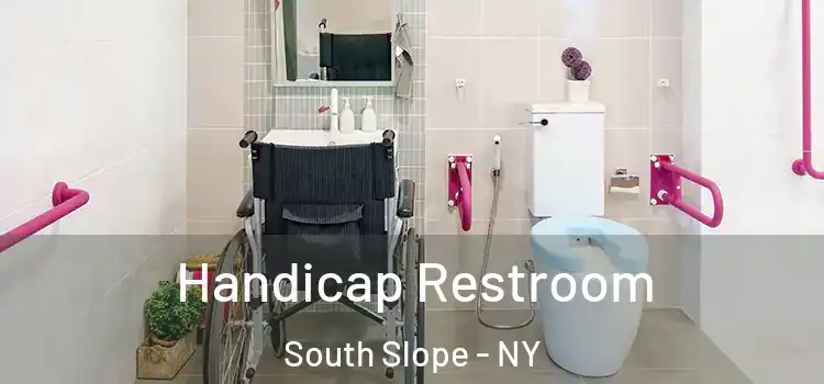 Handicap Restroom South Slope - NY