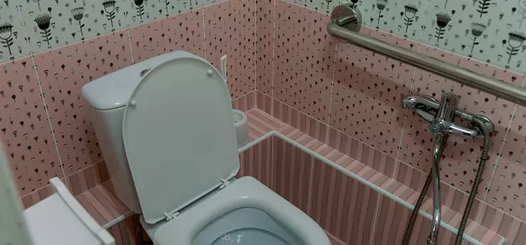 Meeting Diverse Needs With Accessible Restroom Solutions in New Lots, NY