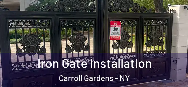 Iron Gate Installation Carroll Gardens - NY
