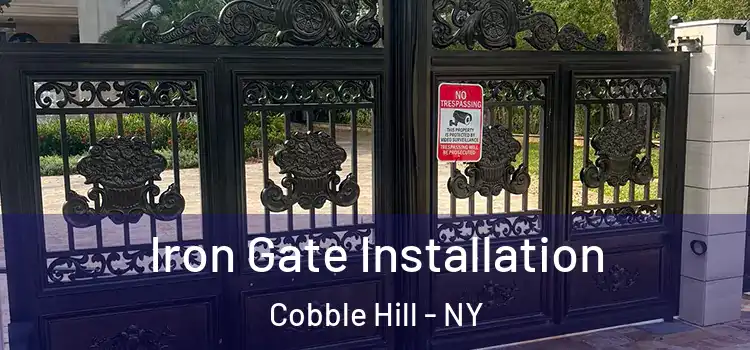 Iron Gate Installation Cobble Hill - NY
