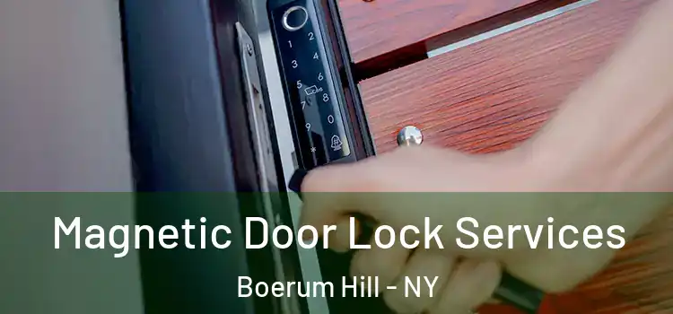  Magnetic Door Lock Services Boerum Hill - NY