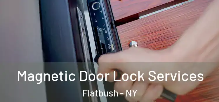 Magnetic Door Lock Services Flatbush - NY