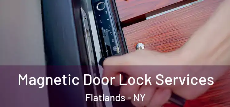 Magnetic Door Lock Services Flatlands - NY