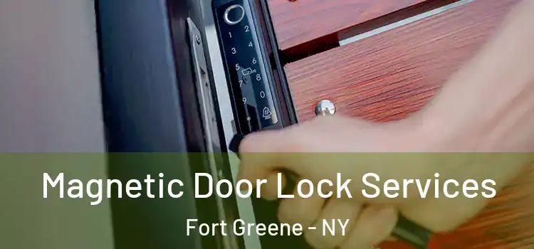Magnetic Door Lock Services Fort Greene - NY