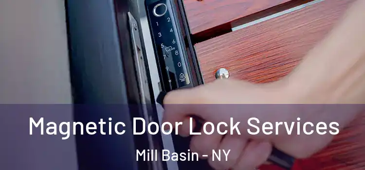 Magnetic Door Lock Services Mill Basin - NY