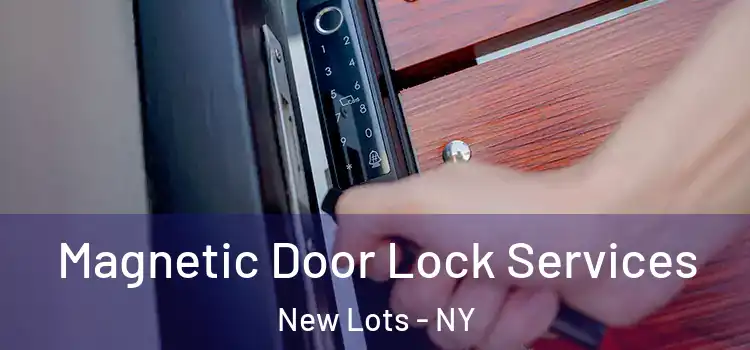 Magnetic Door Lock Services New Lots - NY