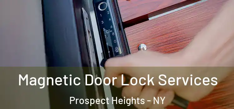 Magnetic Door Lock Services Prospect Heights - NY