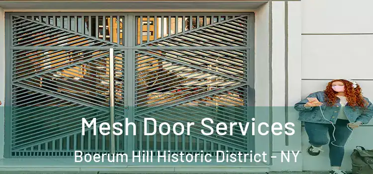  Mesh Door Services Boerum Hill Historic District - NY