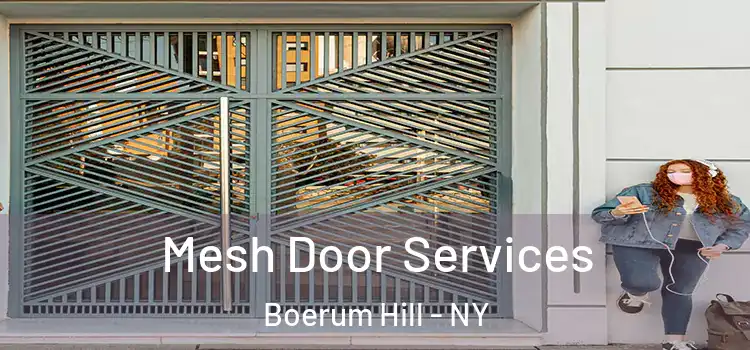 Mesh Door Services Boerum Hill - NY
