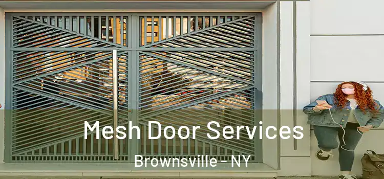 Mesh Door Services Brownsville - NY