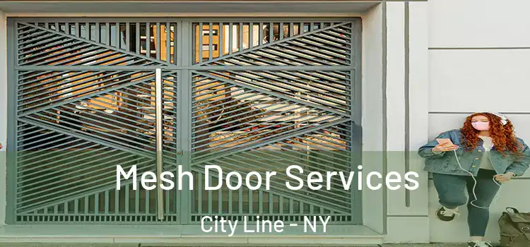 Mesh Door Services City Line - NY