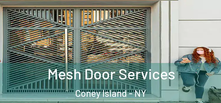 Mesh Door Services Coney Island - NY