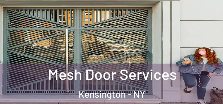  Mesh Door Services Kensington - NY
