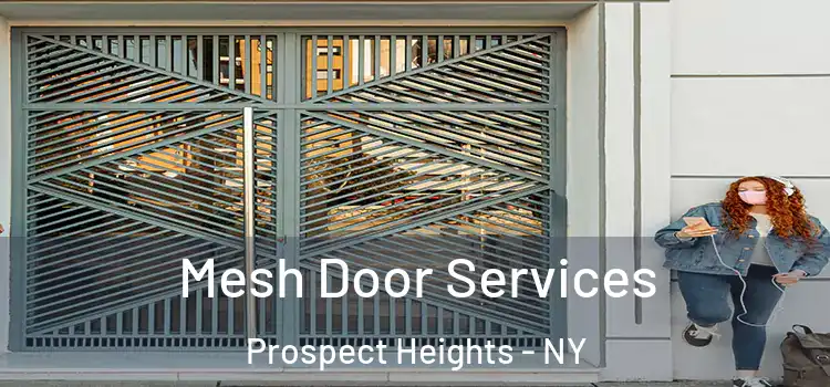 Mesh Door Services Prospect Heights - NY