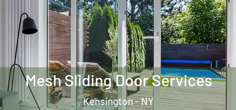  Mesh Sliding Door Services Kensington - NY
