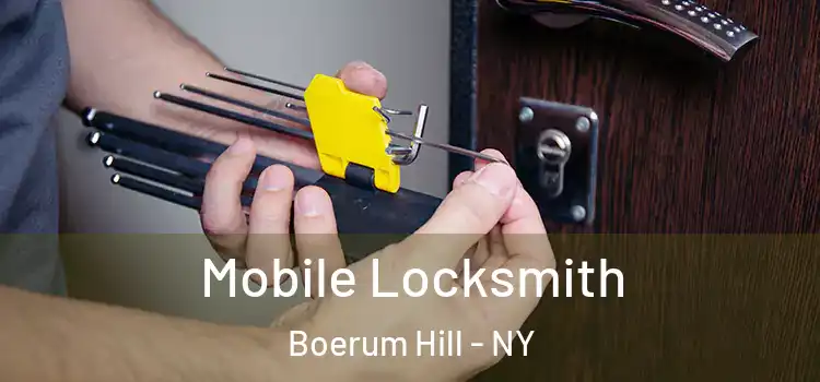  Mobile Locksmith Boerum Hill - NY