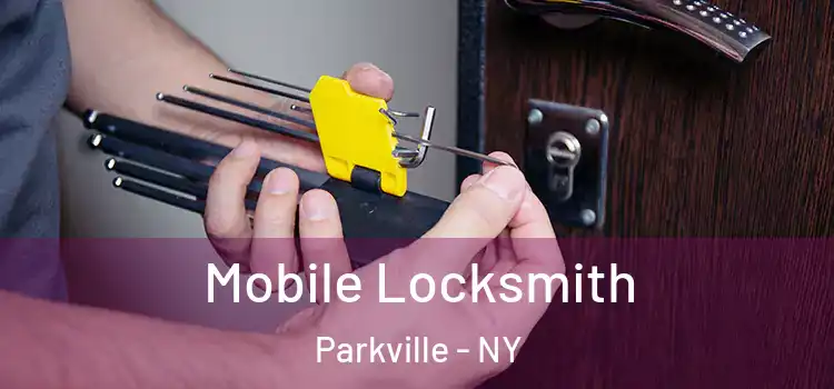 Mobile Locksmith Parkville - NY