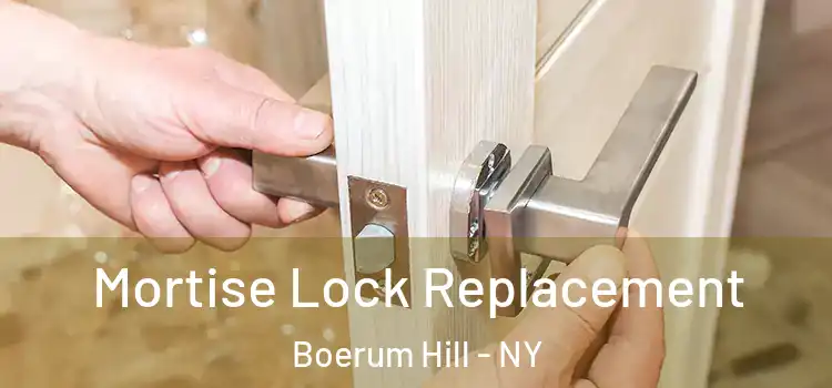 Mortise Lock Replacement Boerum Hill - NY