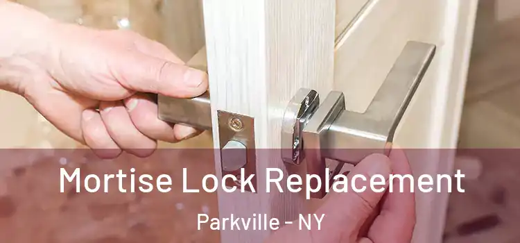 Mortise Lock Replacement Parkville - NY