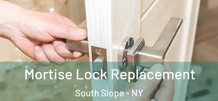 Mortise Lock Replacement South Slope - NY