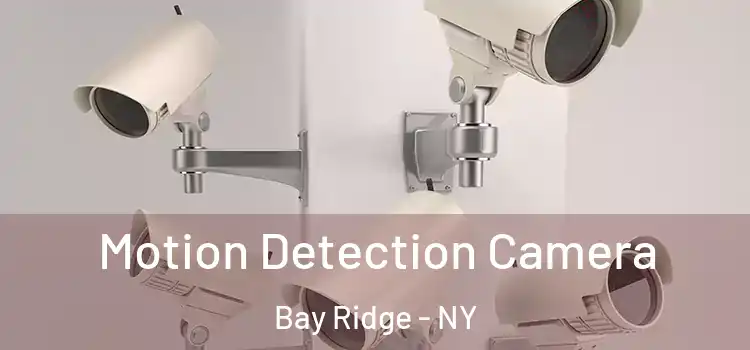  Motion Detection Camera Bay Ridge - NY
