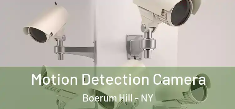  Motion Detection Camera Boerum Hill - NY