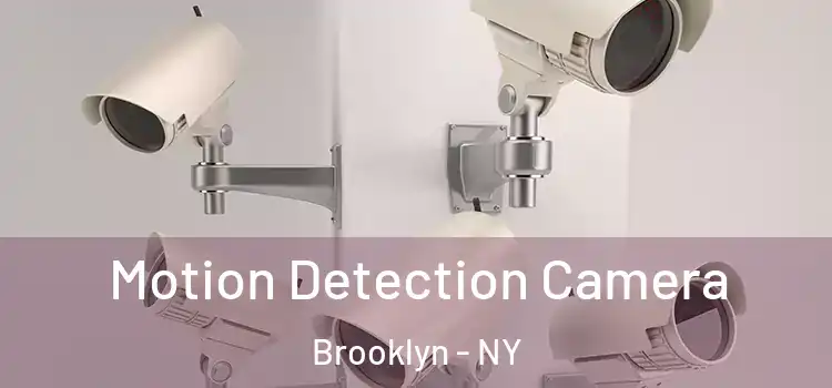  Motion Detection Camera Brooklyn - NY