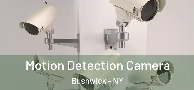  Motion Detection Camera Bushwick - NY