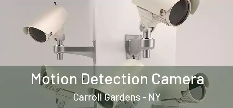  Motion Detection Camera Carroll Gardens - NY