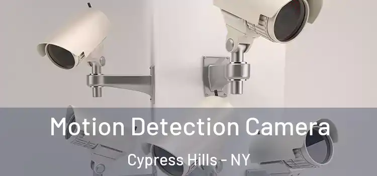  Motion Detection Camera Cypress Hills - NY