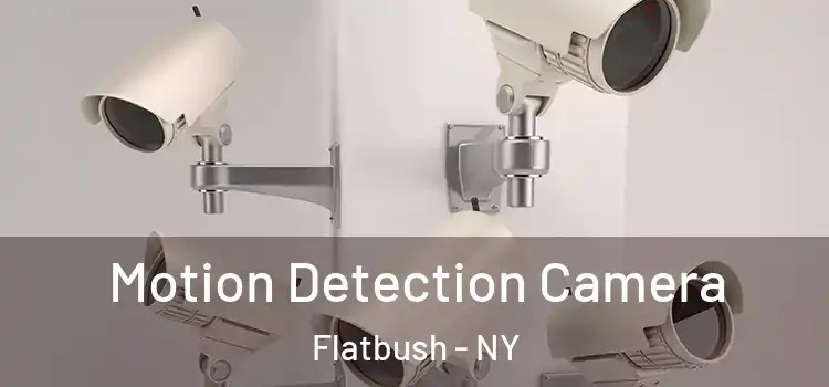  Motion Detection Camera Flatbush - NY