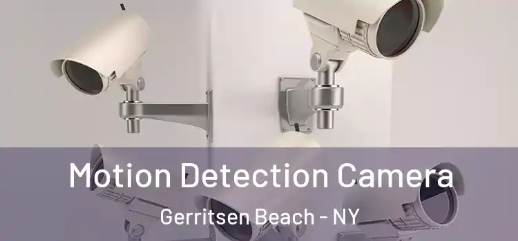  Motion Detection Camera Gerritsen Beach - NY