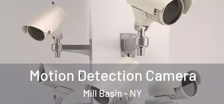  Motion Detection Camera Mill Basin - NY